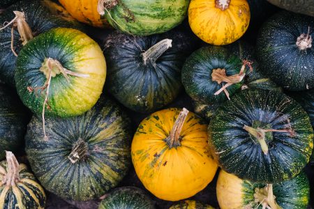 A pile of green and yellow pumpkins 4 - free stock photo