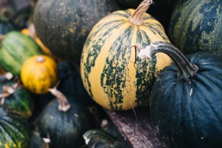A pile of green and yellow pumpkins closeup - free stock photo