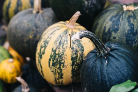 A pile of green and yellow pumpkins closeup 2 - free stock photo