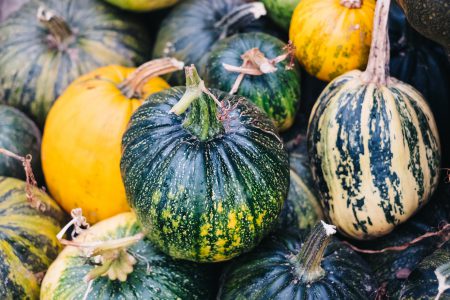 A pile of green and yellow pumpkins closeup 3 - free stock photo