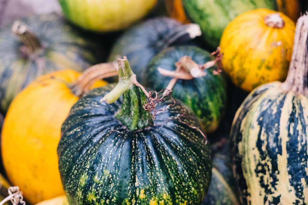 A pile of green and yellow pumpkins closeup 4 - free stock photo