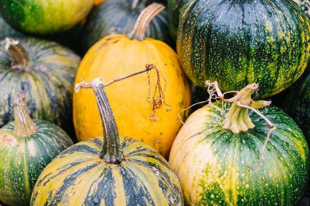 A pile of green and yellow pumpkins closeup 5 - free stock photo