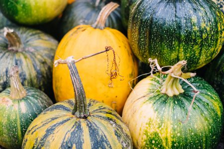 A pile of green and yellow pumpkins closeup 5 - free stock photo