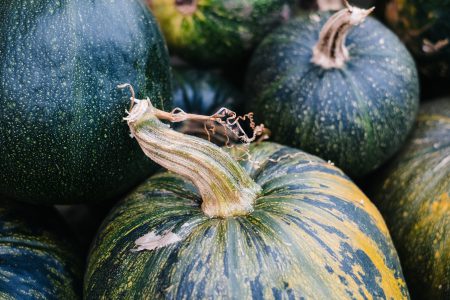 A pile of green and yellow pumpkins closeup 6 - free stock photo