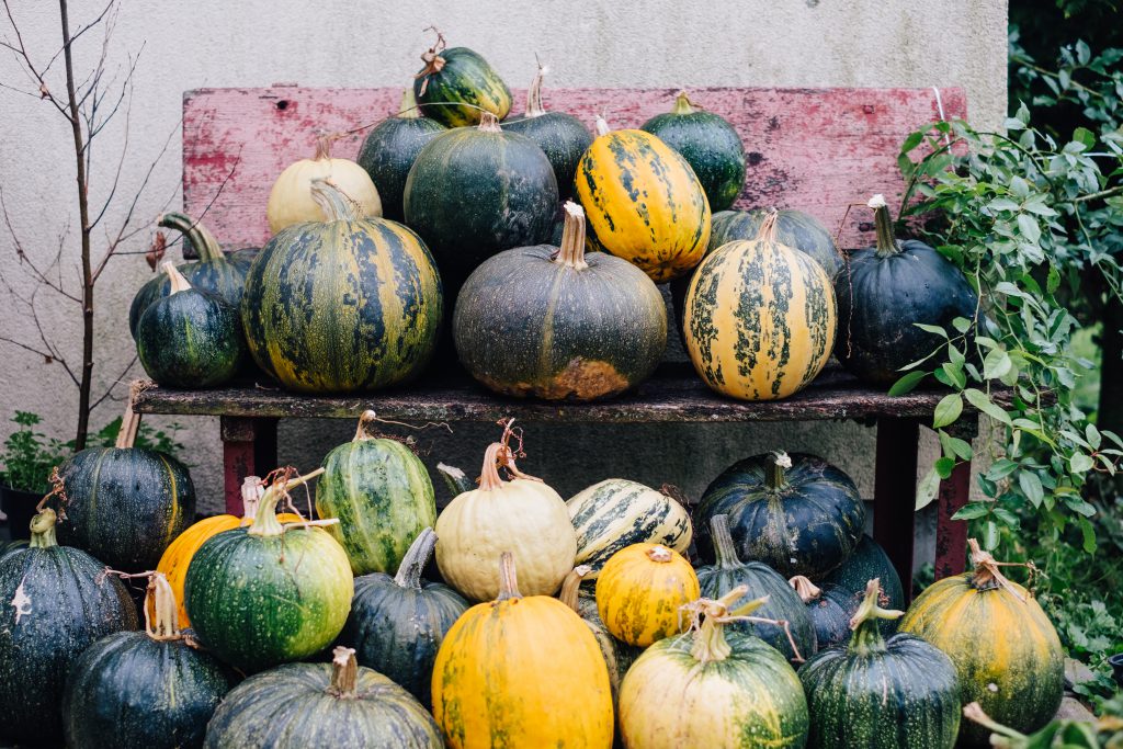 pile_of_pumpkins_on_an_old_bench-1024x68