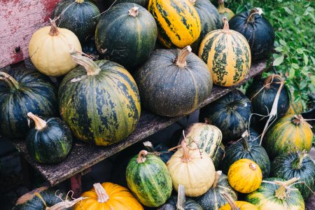 A pile of pumpkins on an old bench 2 - free stock photo