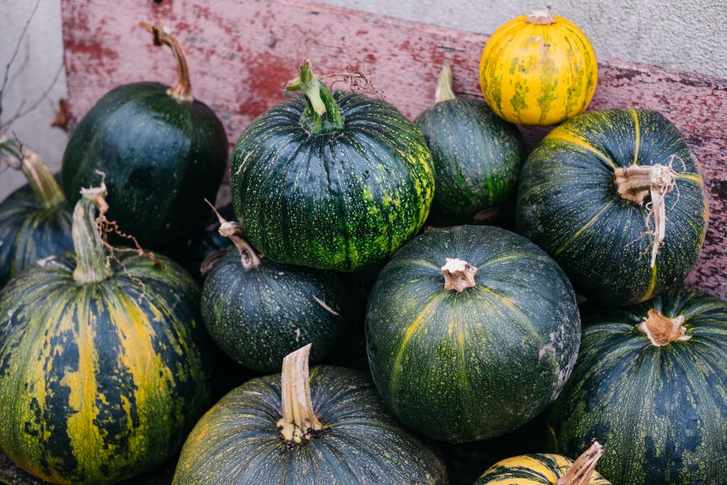 pile_of_pumpkins_on_an_old_bench_5-1024x683.jpg