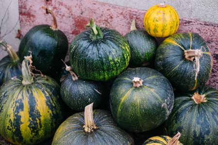 A pile of pumpkins on an old bench 5 - free stock photo