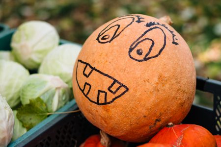 Pumpkin with a drawn face at an outdoors vegetable market 2 - free stock photo