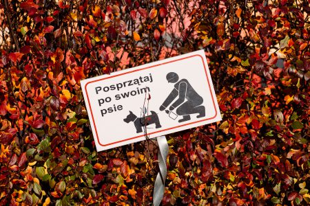 Clean up after your dog sign - free stock photo