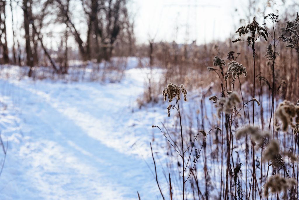 Satta King Faridabad Noon And Love Have Nine Things In Common