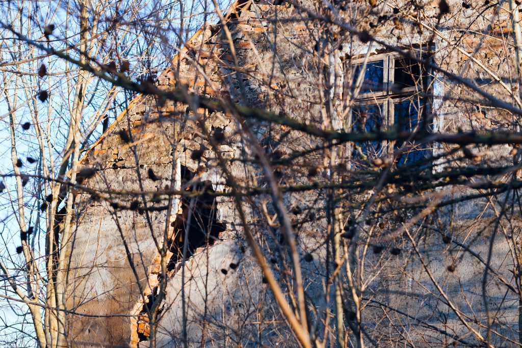 Damaged old house wall behind leafless branches - free stock photo