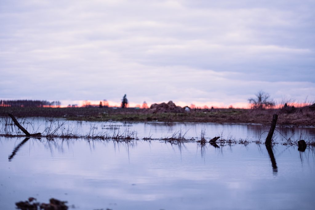 overflooded_pond_on_a_cloudy_afternoon_4-1024x683.jpg