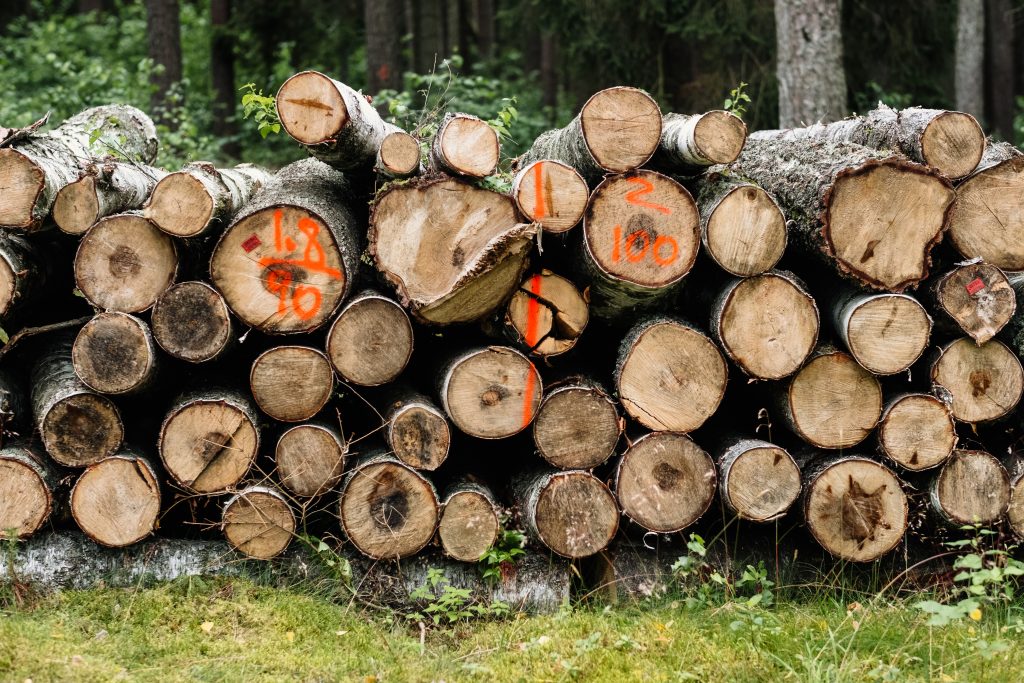 cut_wood_logs_stacked_in_the_forest_2-10