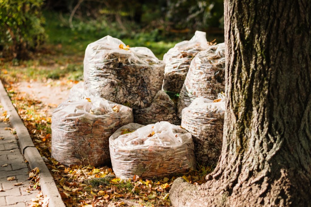 Fallen autumn leaves in plastic bags - free stock photo