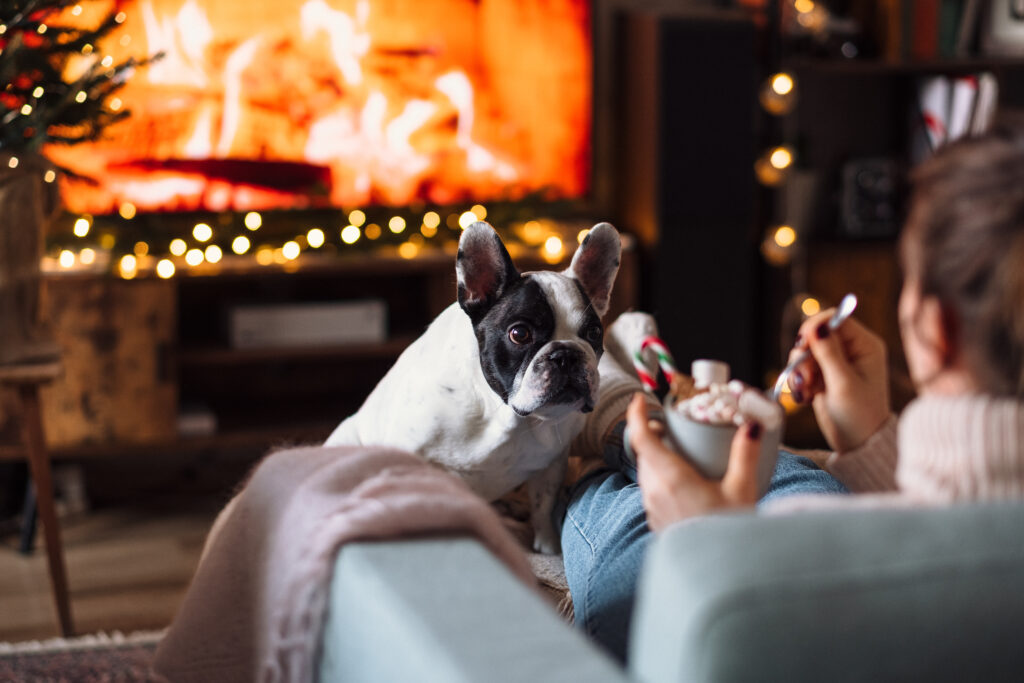 female with a french bulldog relaxing on a sofa on christmas