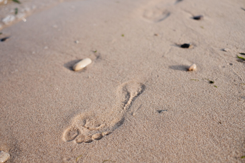 Footstep in a wet sand - free stock photo