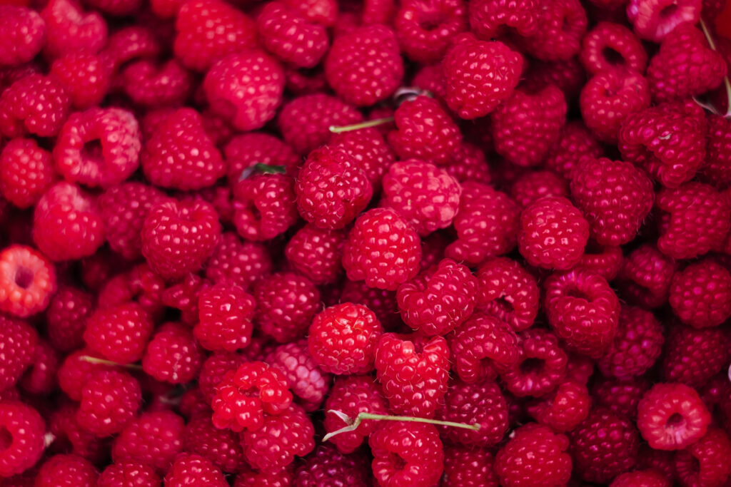 Pile of raspberries - free stock photo