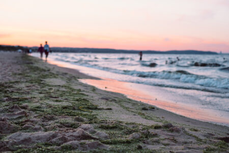 Sunset at seashore 6 - free stock photo