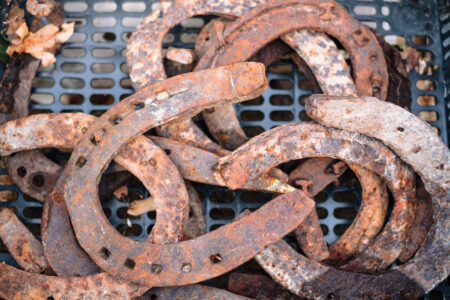 Old rusty horseshoes at a flea market - free stock photo