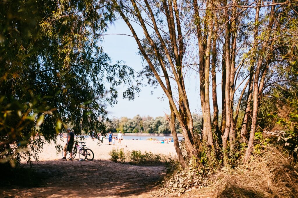 Sandy beach at the river 7 - free stock photo